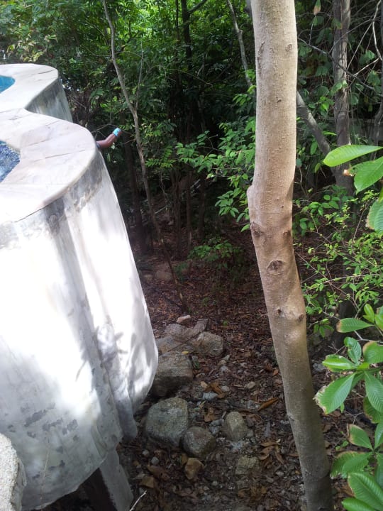 Blick vom pool Santhiya Koh Phangan Resort & Spa