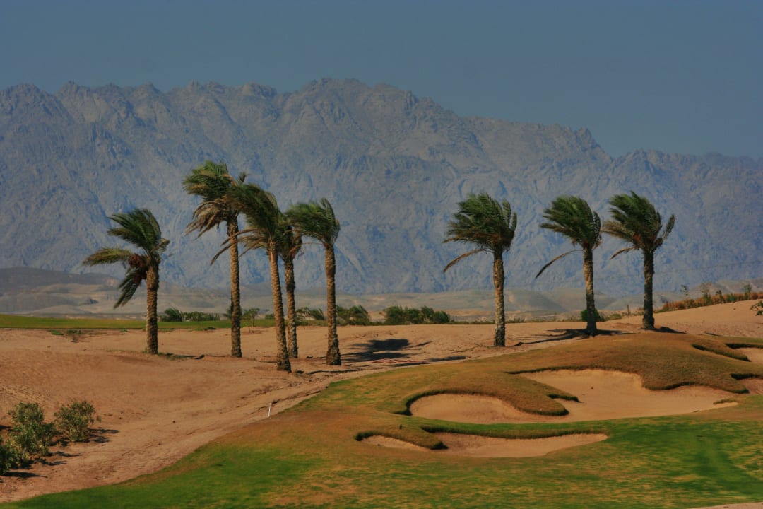 Blick aus dem Zimmer Richtung Golfplatz Steigenberger Makadi Hotel - Adults only