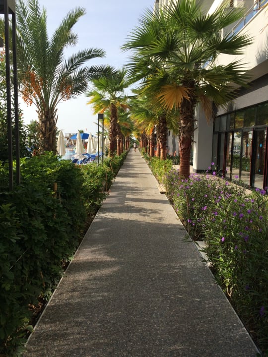Gartenanlage Numa Bay Exclusive Hotel