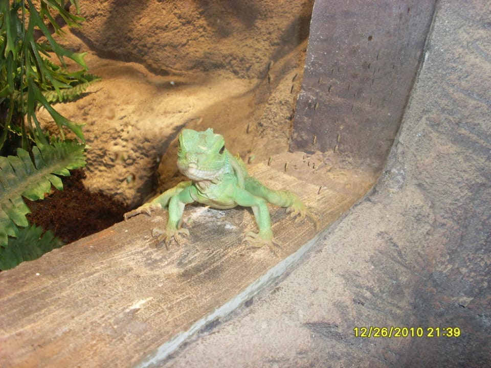 Dschungelland Ferienwohnungen Ferienpark Weissenhäuser Strand