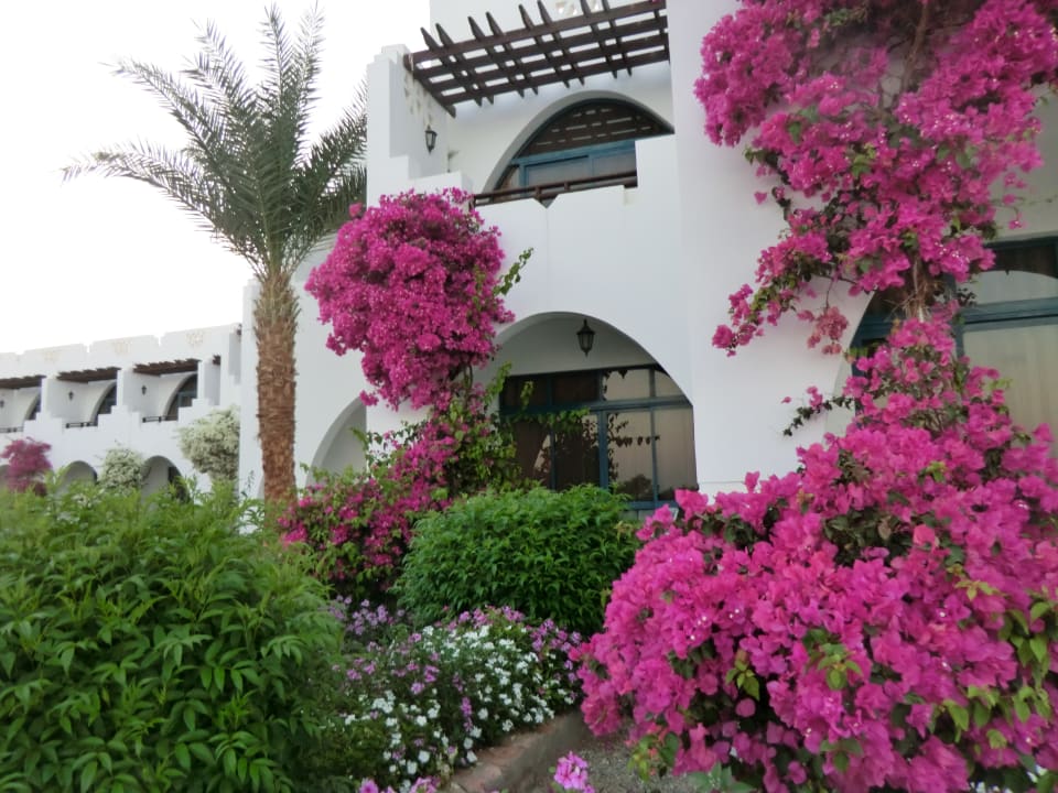 Sonstiges Three Corners Equinox Beach Resort