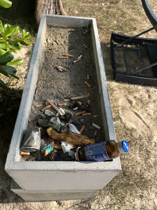 Sonstiges Twin Lotus Resort and Spa (Adult Only / November to April)