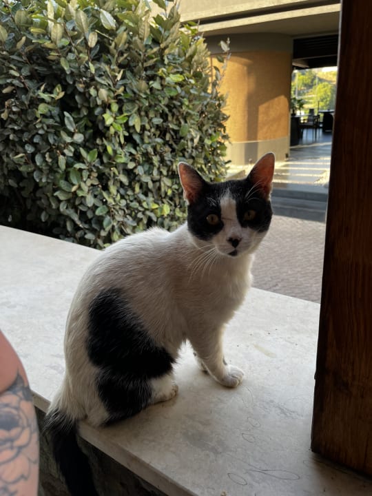 Gartenanlage Seaside A Lifestyle Resort