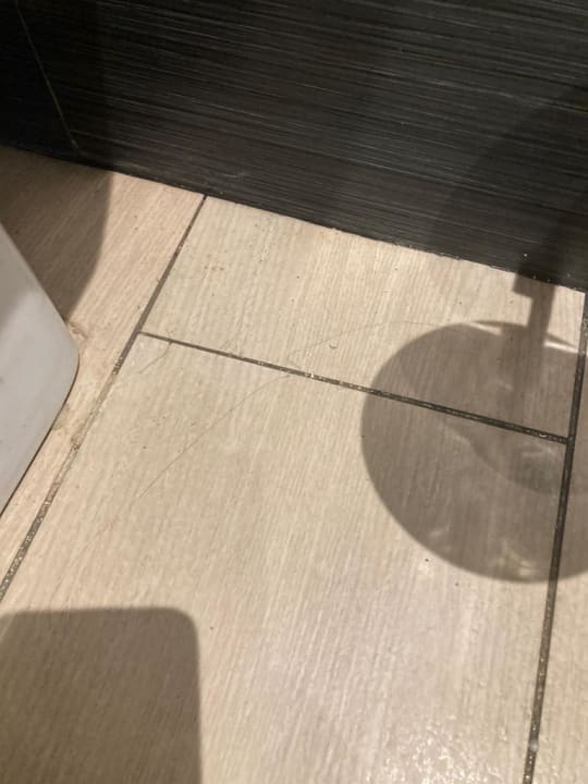 Zimmer Aparthotel Fontanellas Playa