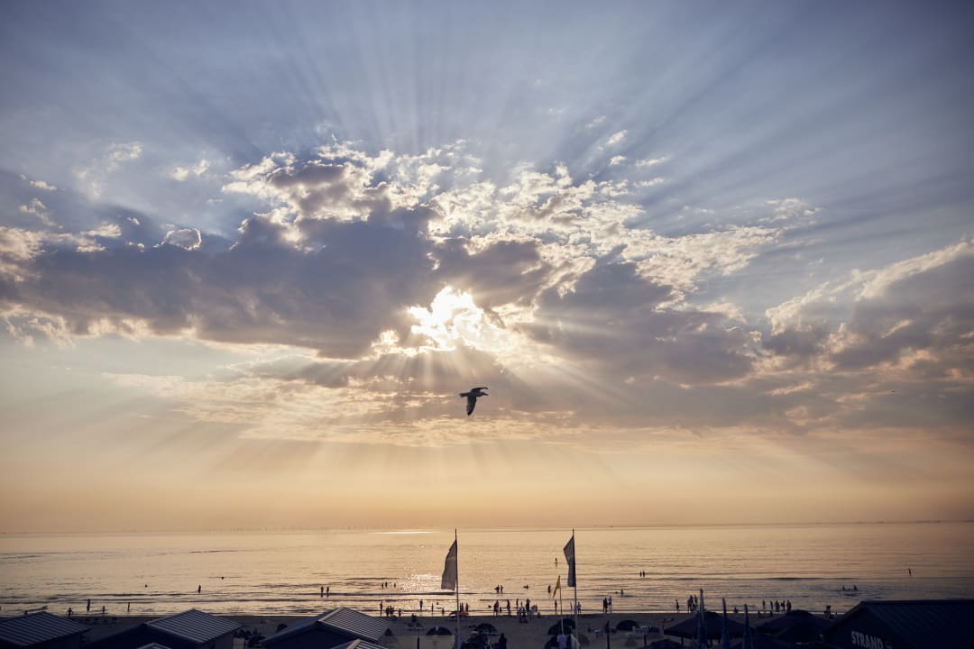 Ausblick Center Parcs Park Zandvoort - Ferienhäuser