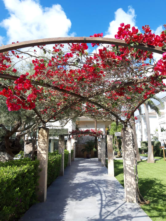 Gartenanlage Playa Garden Selection Hotel & Spa