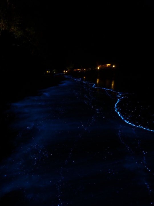 Planktonleuchten am Strand Kuramathi Maldives