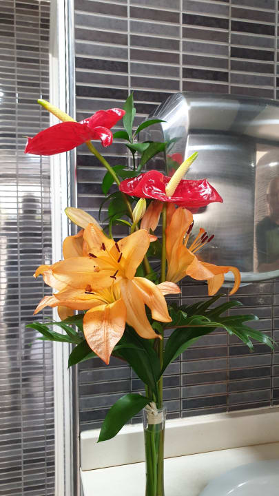 Sonstiges Princess Taurito