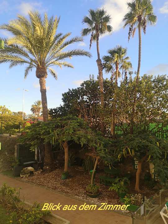 Gartenanlage Maba Playa Apartamentos