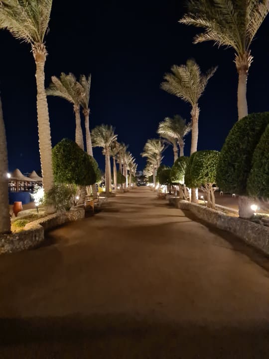 Sonstiges Arabia Azur Resort