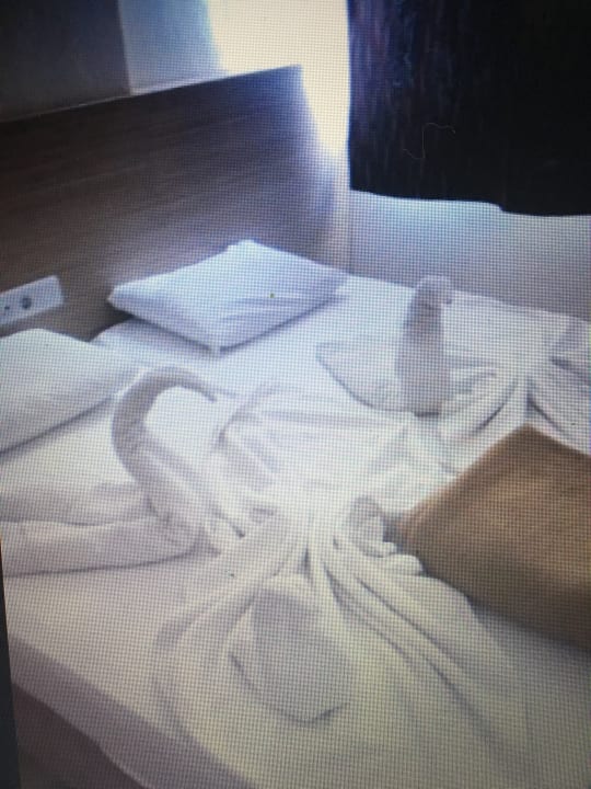 Zimmer Arda Apart Hotel