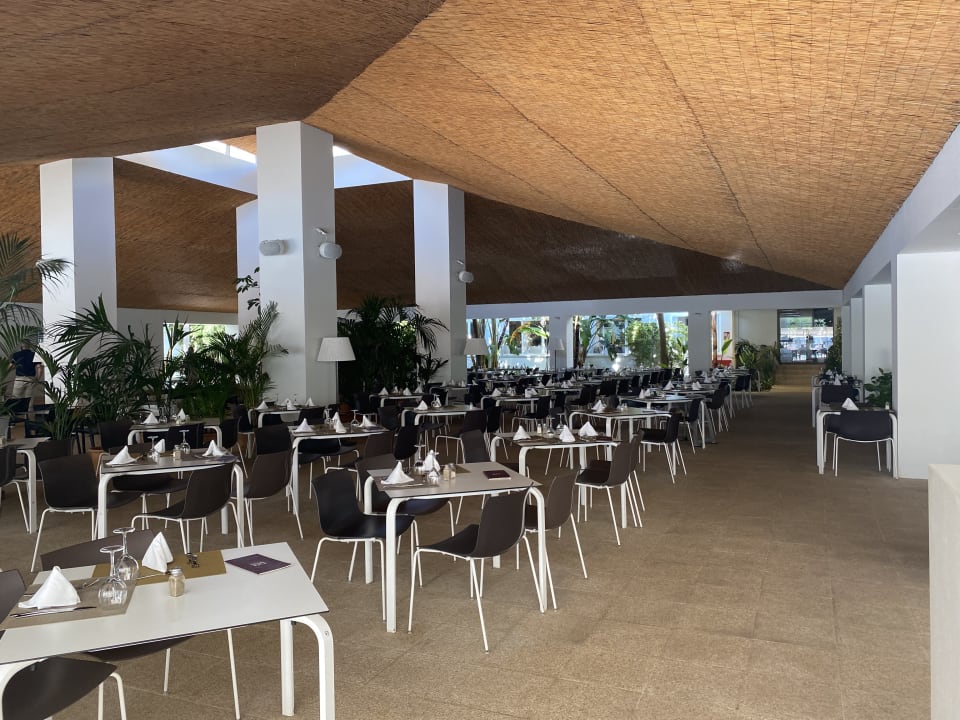 Gastro Prinsotel La Pineda