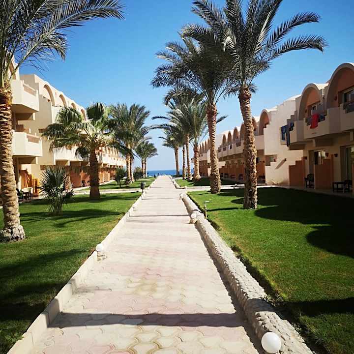 Gartenanlage Three Corners Sea Beach Resort