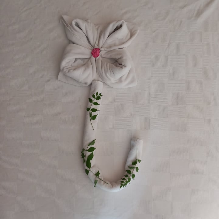 Zimmer Telatiye Resort