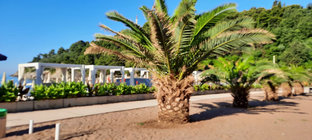 Strand Iberostar Waves Bellevue