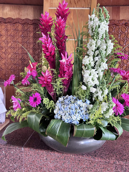 Gartenanlage Catalonia Royal Tulum Beach & Spa Resort - Adults only