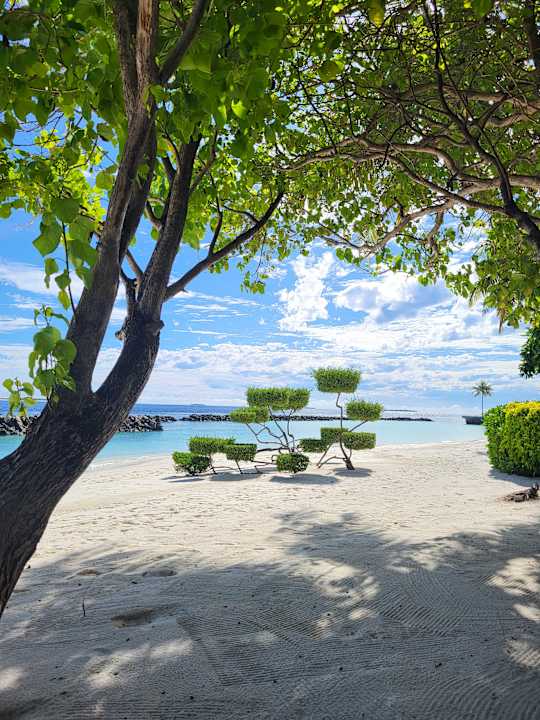 Gartenanlage Dhigali Maldives