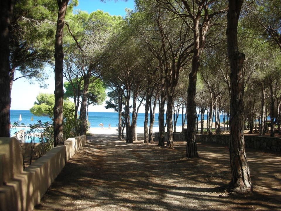 Vialetto che porta al mare Club Hotel Marina Seada Beach