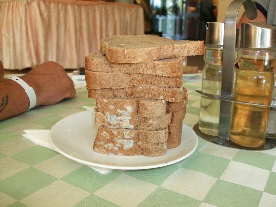 Verschimmeltes Brot zum Frühstück MPM Hotel Kalina Garden