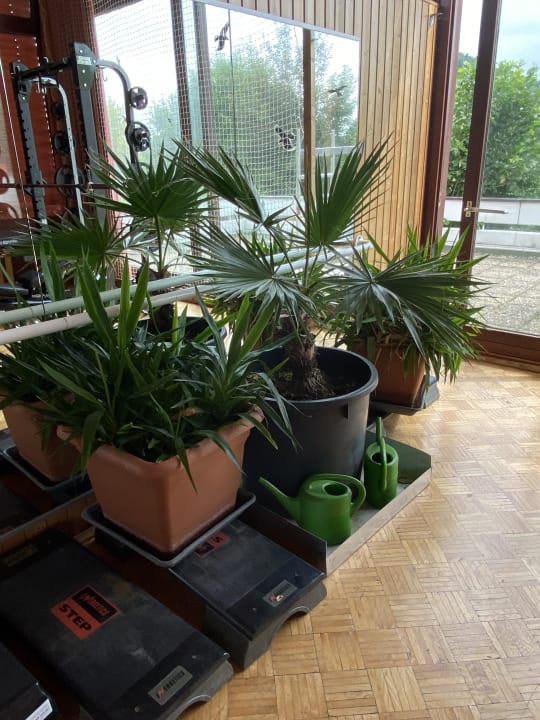 Sonstiges Vitalhotel König am Park