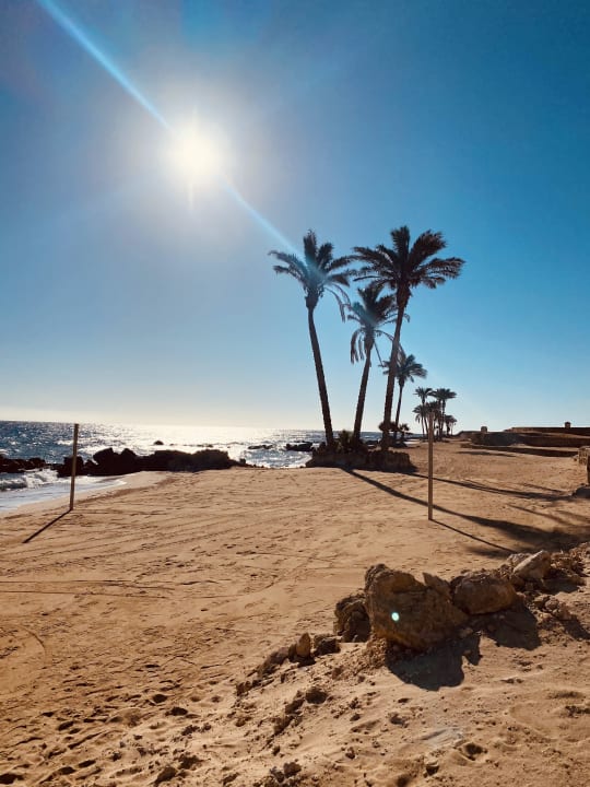 Strand Pickalbatros Citadel Resort