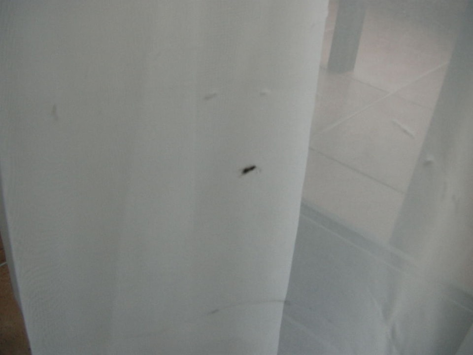 Tote Mitbewohner in den Gardinen Greenwood Kemer Resort