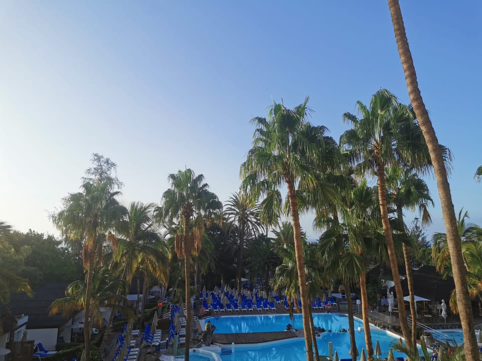 Zimmer Bull Costa Canaria & Spa - Adults only