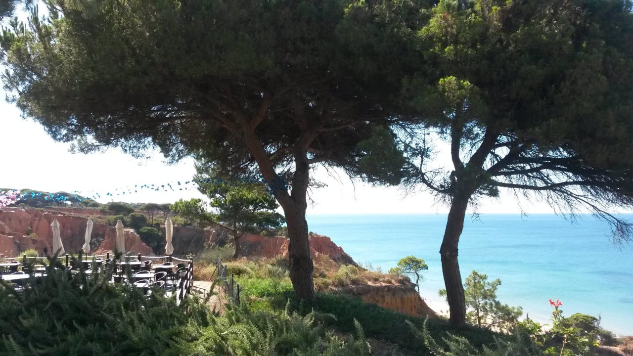 Restaurant Terrasse mit Ausblick PortoBay Falésia