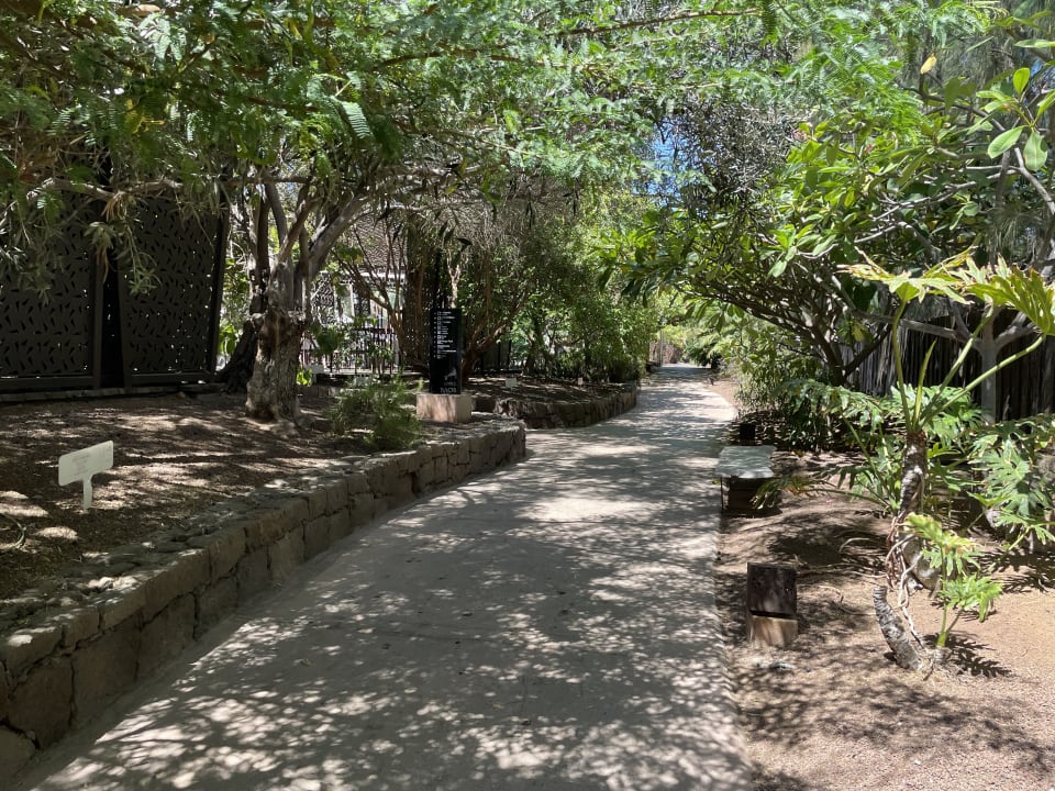 Gartenanlage Lopesan Baobab Resort