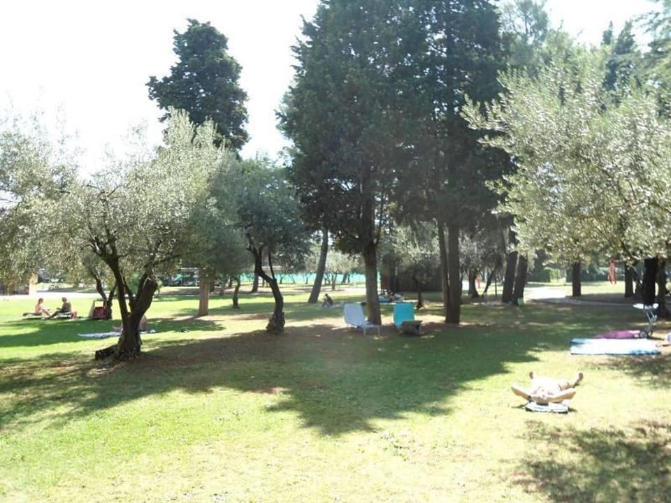 Schattenplatz Hotel Umag Plava Laguna