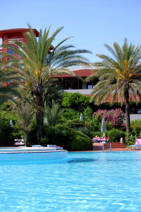 Красота Belconti Resort Hotel