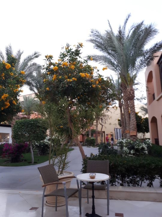 Lobby Jaz Makadi Saraya Resort