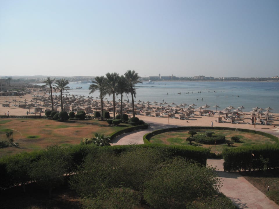 Viele freie Liegen Cleopatra Luxury Resort Makadi Bay