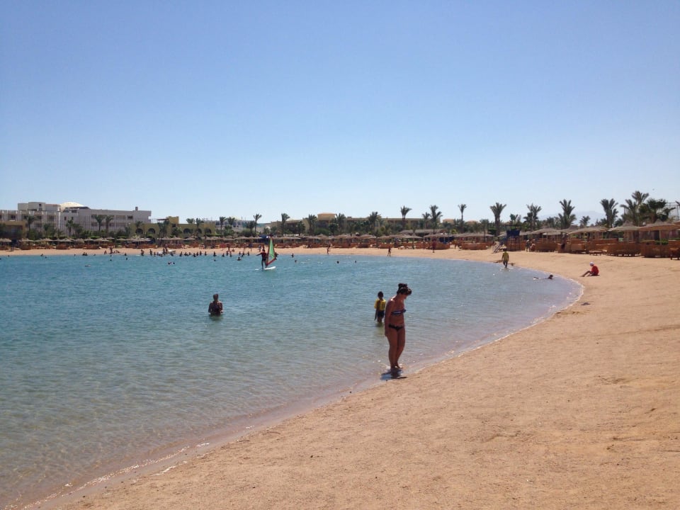 Лагуна Desert Rose