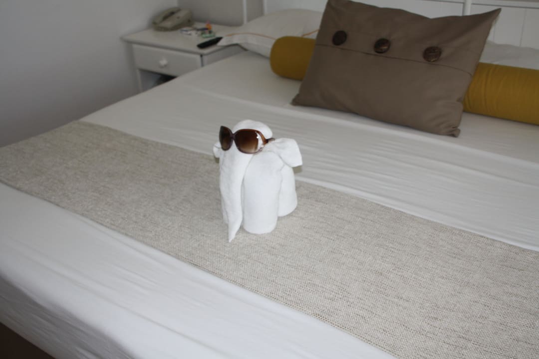 Elefant mit Sonnenbrille Tropical Attitude - Adults only