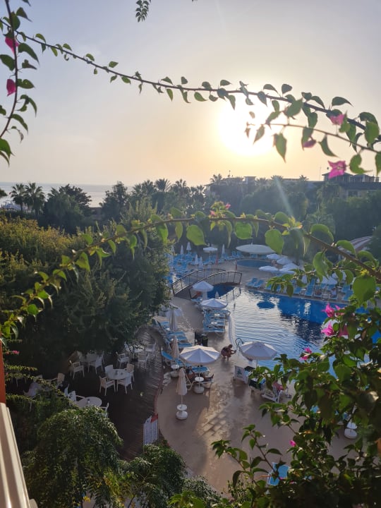 Pool Palmeras Beach Hotel