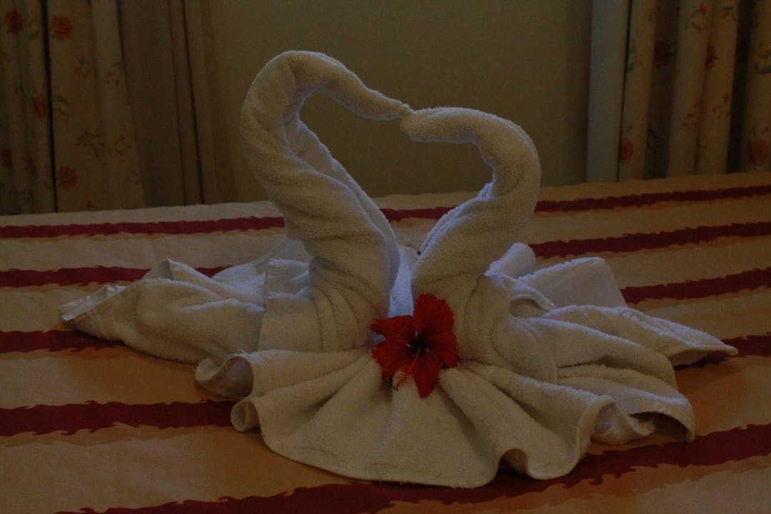 Handtuchkunst Hotel Los Caneyes