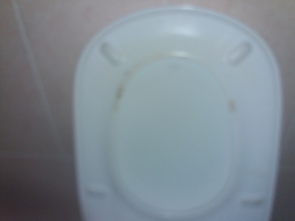 Lobby Zita Beach Resort