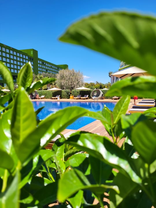Pool Maxx Royal Belek Golf Resort