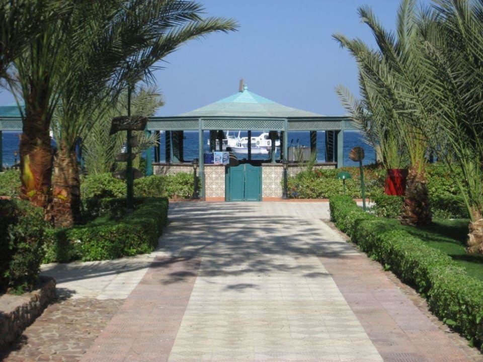 Strandbar Menaville Safaga