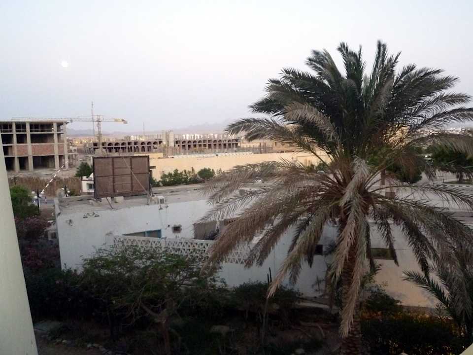 Aussicht vom Zimmer Shams Safaga Resort