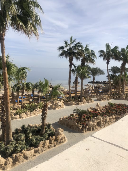 Gartenanlage Pickalbatros Citadel Resort