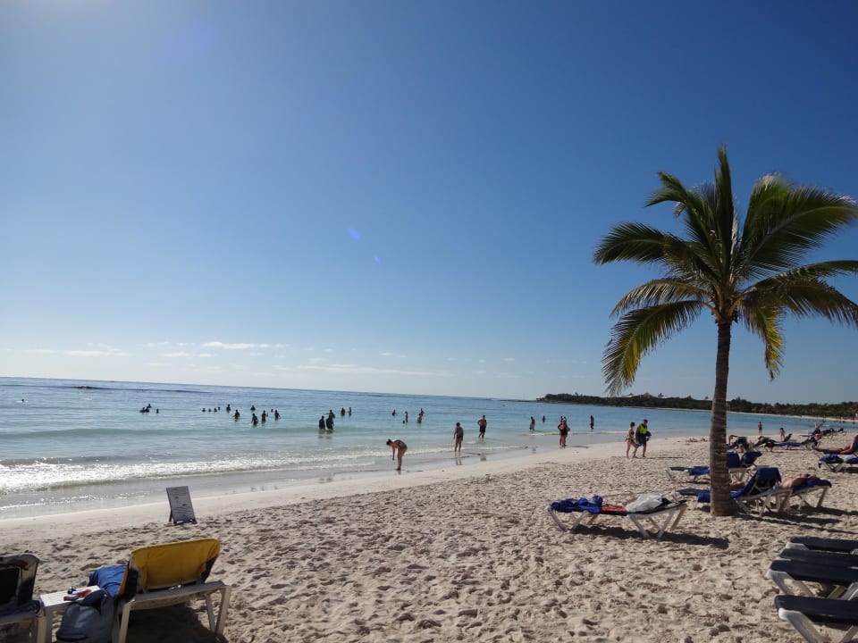 Royal-Bereich TRS Yucatan Hotel - Adults only