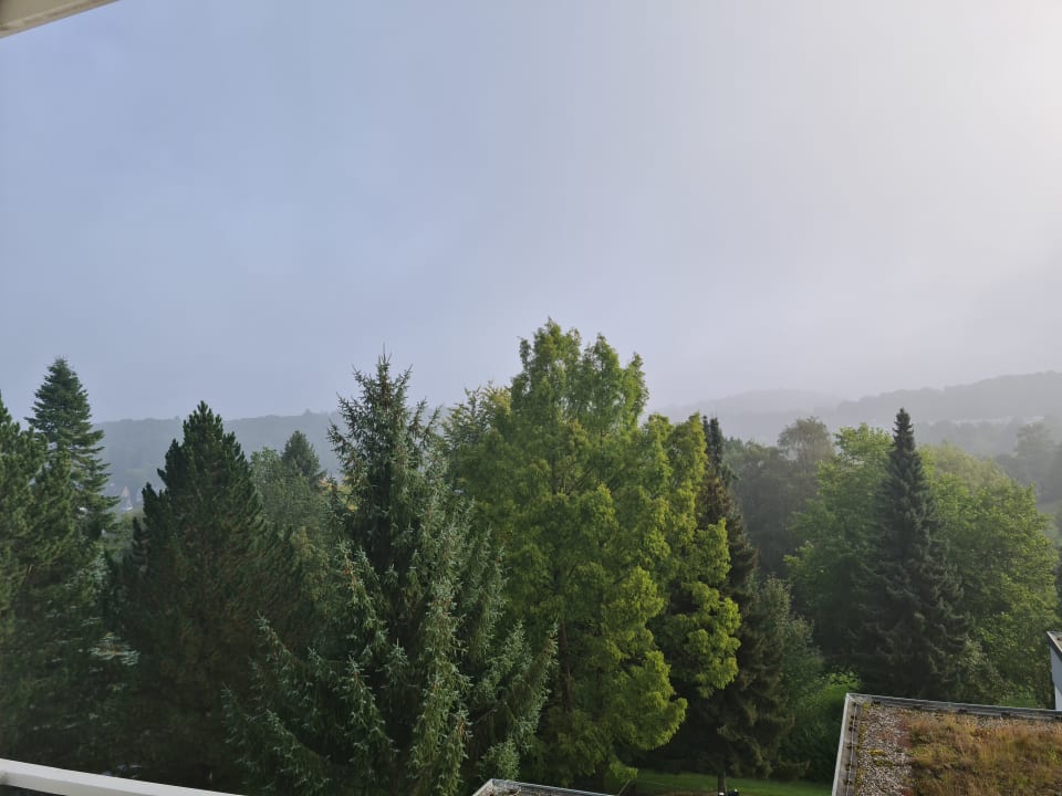 Ausblick Hotel am Kurpark