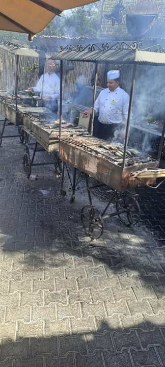 Gastro Sentido Phenicia