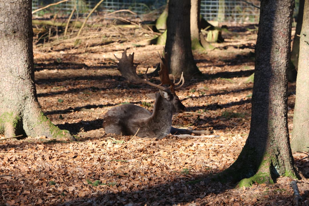 Sonstiges Vila Vita Burghotel Dinklage