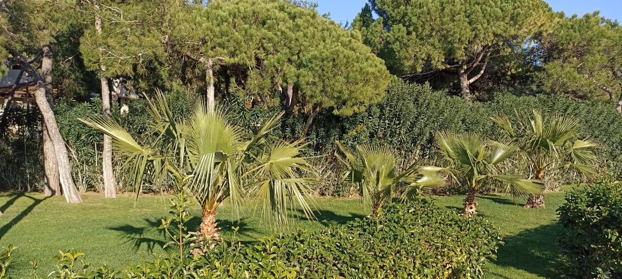 Gartenanlage Xanadu Resort Hotel