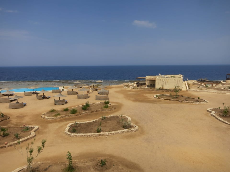Blick vom Restaurant The Oasis Dive Resort