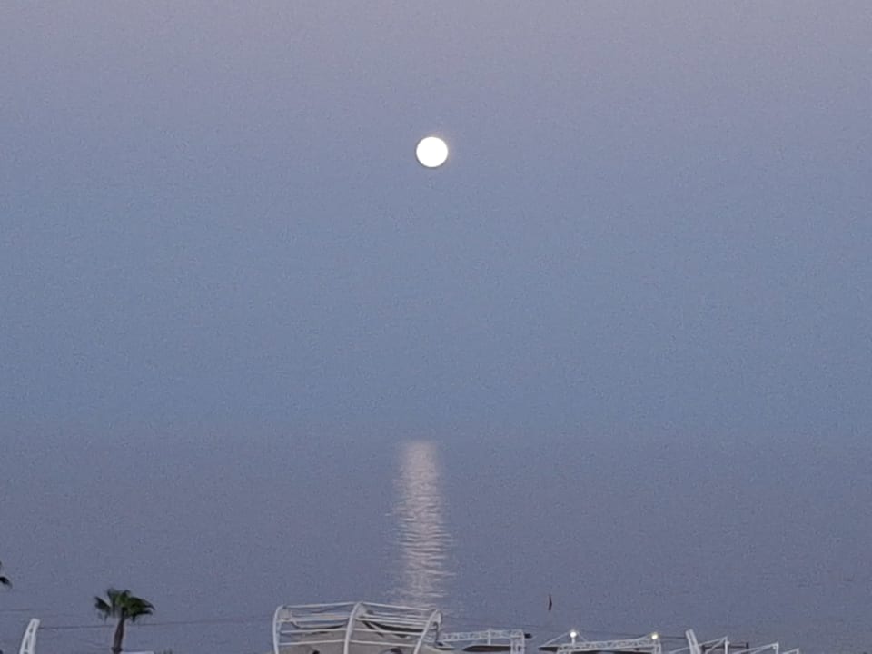 Ausblick Pickalbatros Citadel Resort