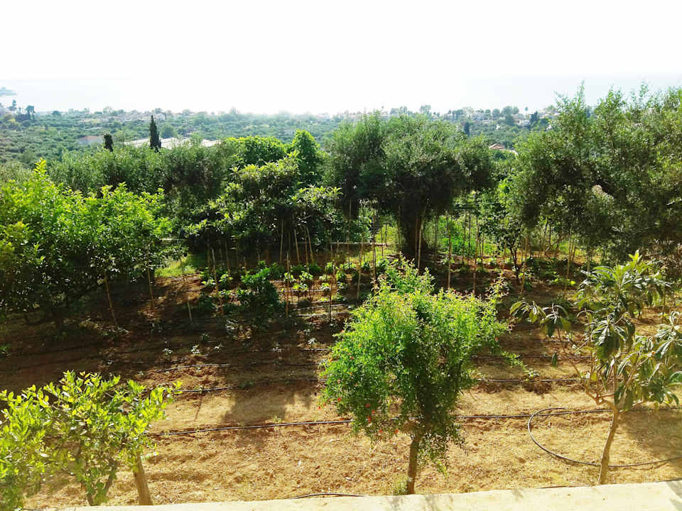 Gartenanlage Sea View Villa with 4 bedrooms - grECOrama